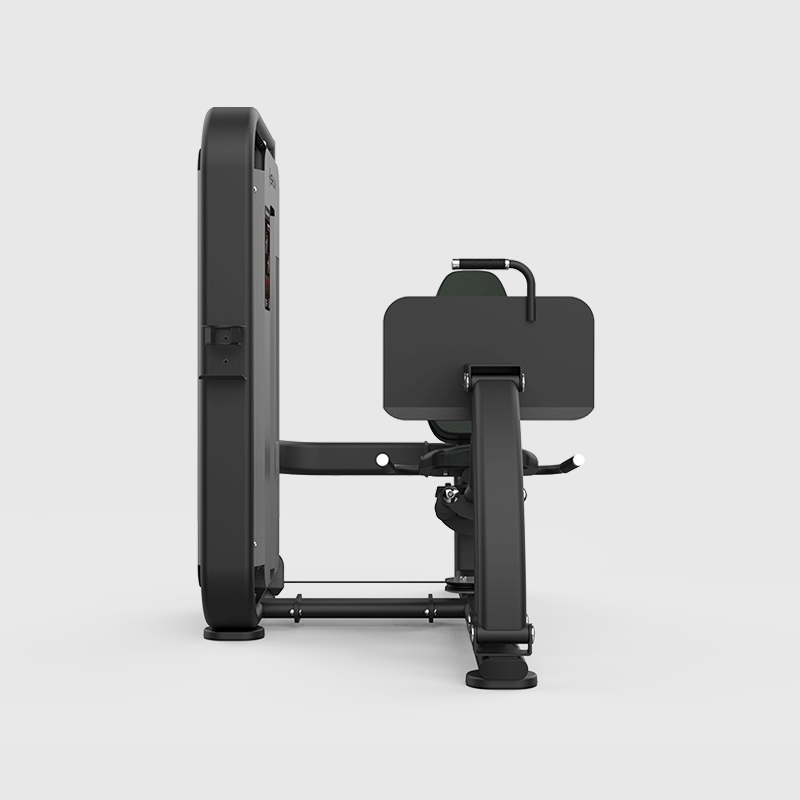 seated leg press